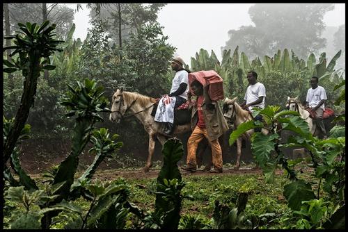 Sidama mother and child project, Ethiopia